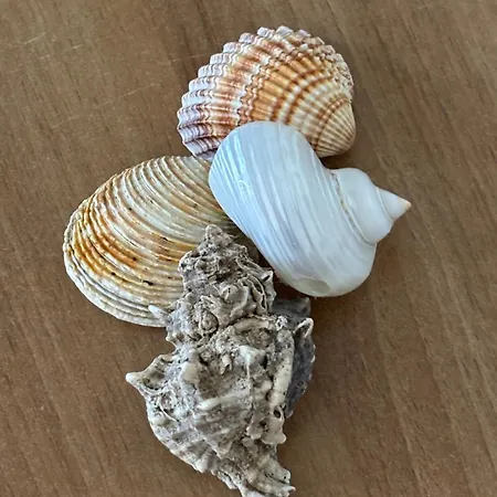 A Casa Di Checco